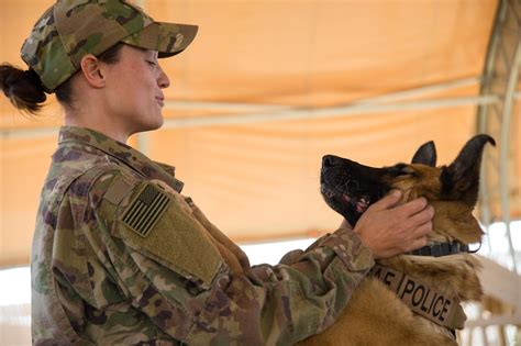 Air Force K9 Handler