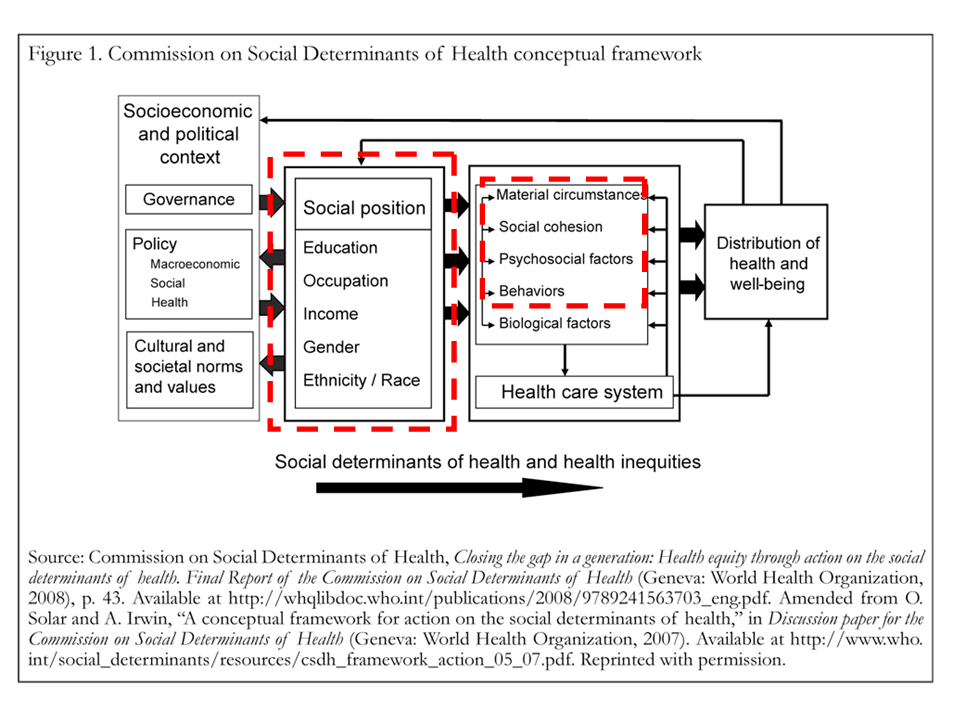 Conceptual Framework For Action On The Social Determinants Of Health Conceptual Framework For Action On The Social Determinants Of Health