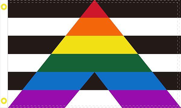 Gay Straight Alliance Flag Gay Straight Alliance Flag