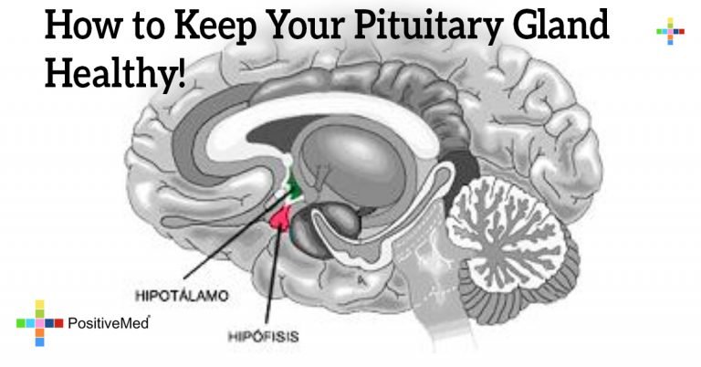 How To Keep Your Pituitary Gland Healthy How To Keep Your Pituitary Gland Healthy