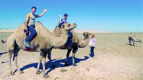 Is It Safe For Gays In Mongolia