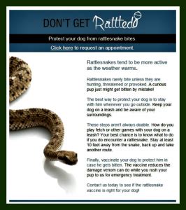Rattlesnake Vaccine For Dogs Great Pet Care Rattlesnake Vaccine For Dogs Great Pet Care