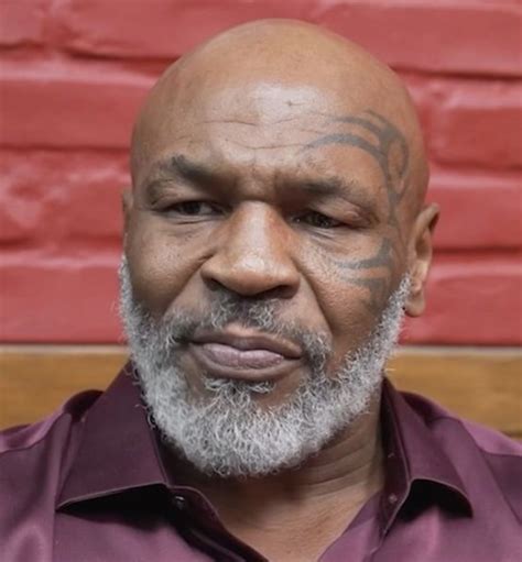 Rhymes With Snitch Celebrity And Entertainment News Mike Tyson Rhymes With Snitch Celebrity And Entertainment News Mike Tyson