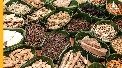 Thai Traditional Medicine From Thai Massage To Spiritual Wellness Thai Traditional Medicine From Thai Massage To Spiritual Wellness