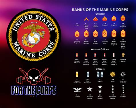 United States Marine Corps Insignia United States Marine Corps Insignia